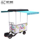 EQT 138 Liter Softeis-Fahrrad-für Verkaufs-Gefrierschrank-Wagen-Sommerferien-Fracht-Gefrierschrank fahren rad, die elektrische Eiscreme verkaufend